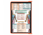 WhiteCoat Clipboard® - Coral Physical Therapy Edition